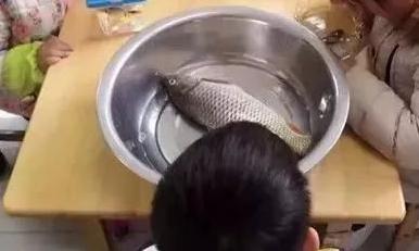 2017年度搞笑图片盘点