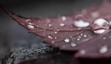 二十四节气：寒露